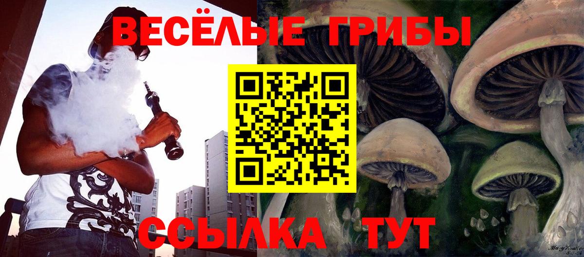 ГАШ Аргун