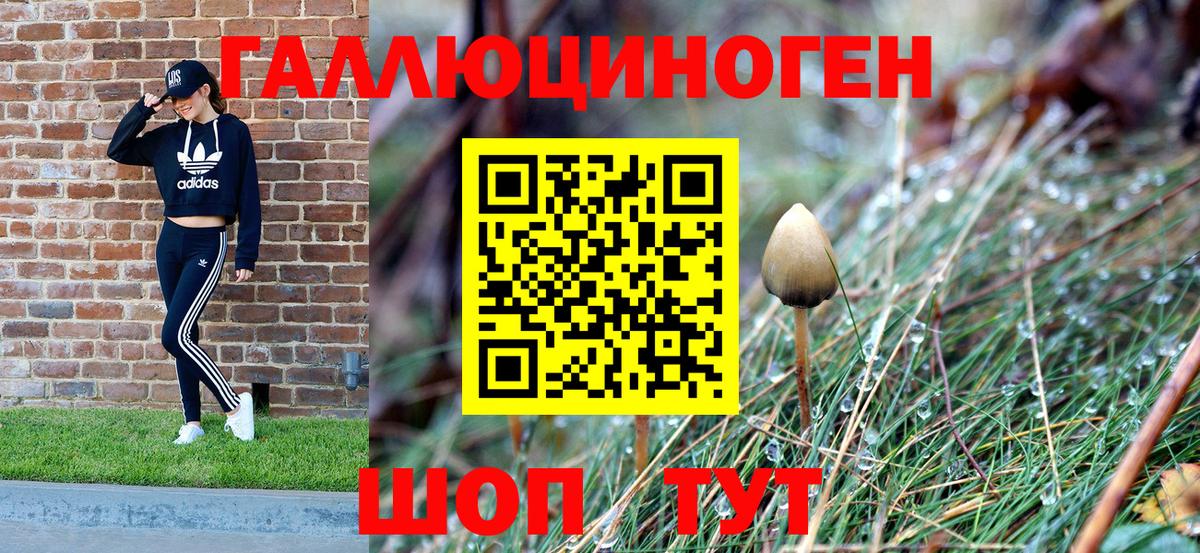 Псилоцибиновые грибы мицелий Аргун