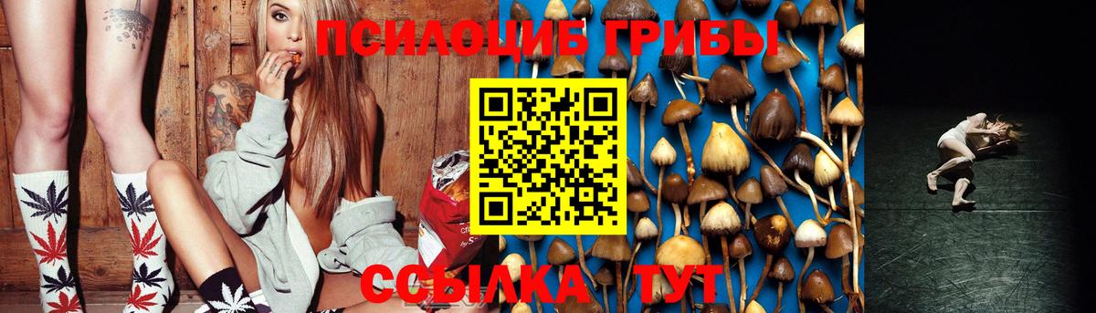 Псилоцибиновые грибы мицелий  Псилоцибиновые грибы MAGIC MUSHROOMS  Аргун  что такое наркотик  Вход с VPN 